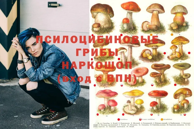 Псилоцибиновые грибы Psilocybe  дарнет шоп  Лагань 